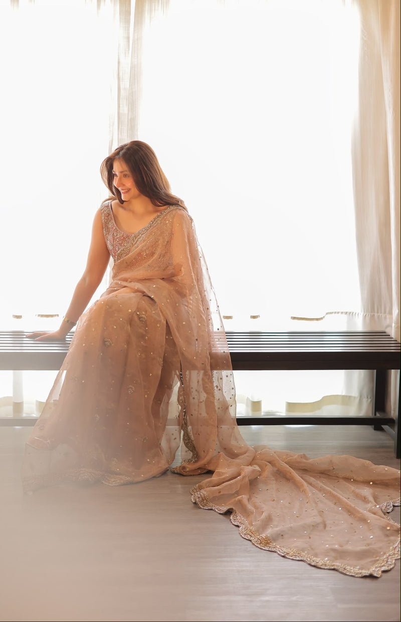 Durefishan Bare Rose Hand-Embellished Custom Saree (Sleeveless Blouse)