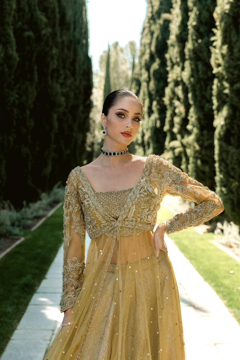 Gold Vista