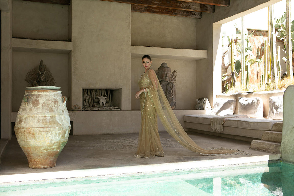 Gold Charm Sari