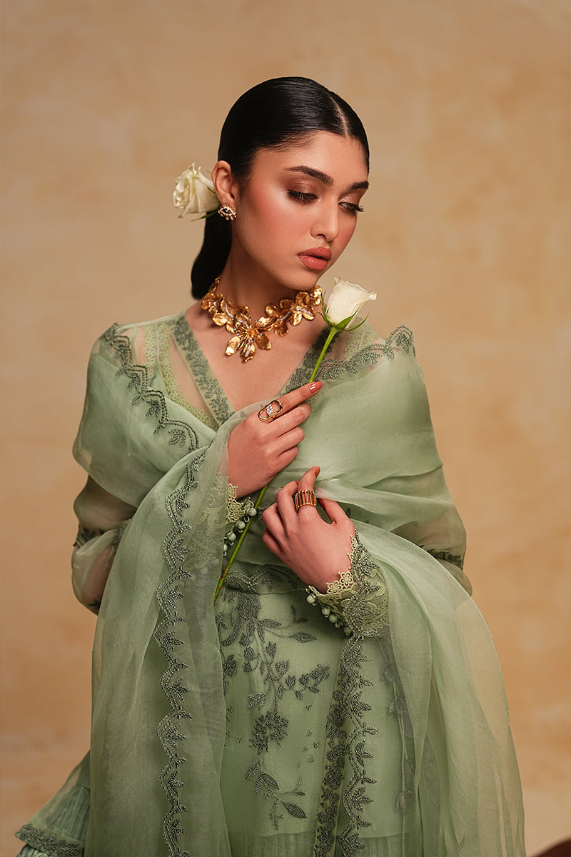 Minted Muse
