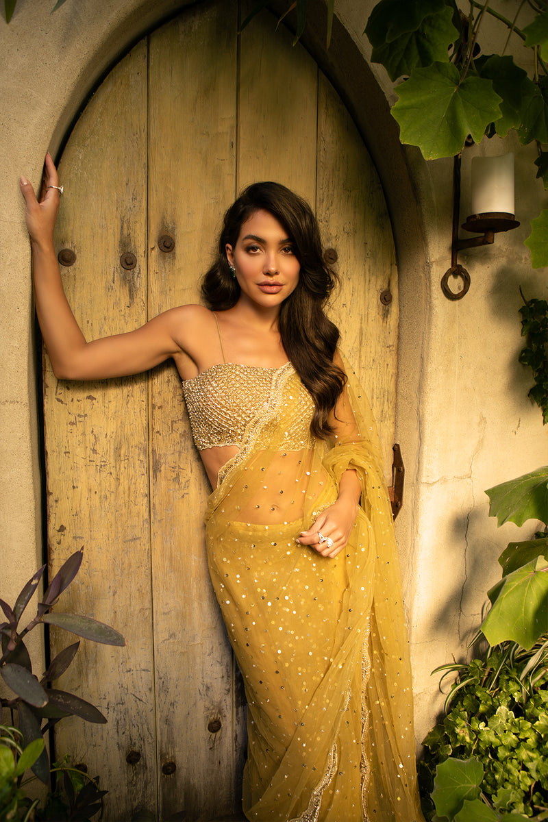 Sparkle Sway Sari