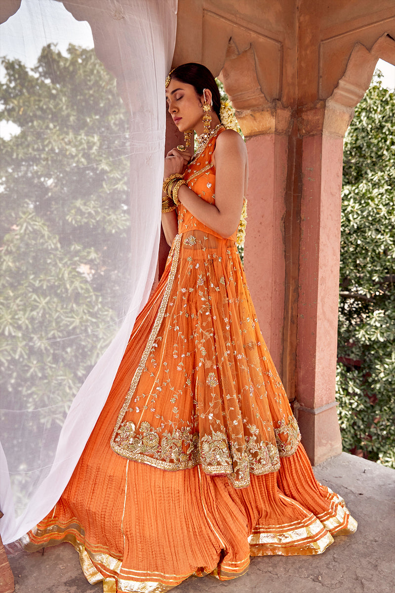 Dhanak