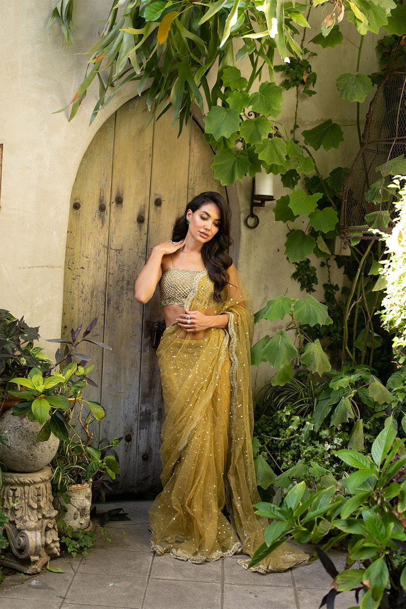 Sparkle Sway Sari