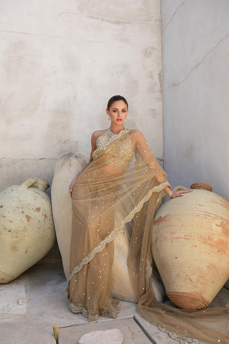 Gold Charm Sari