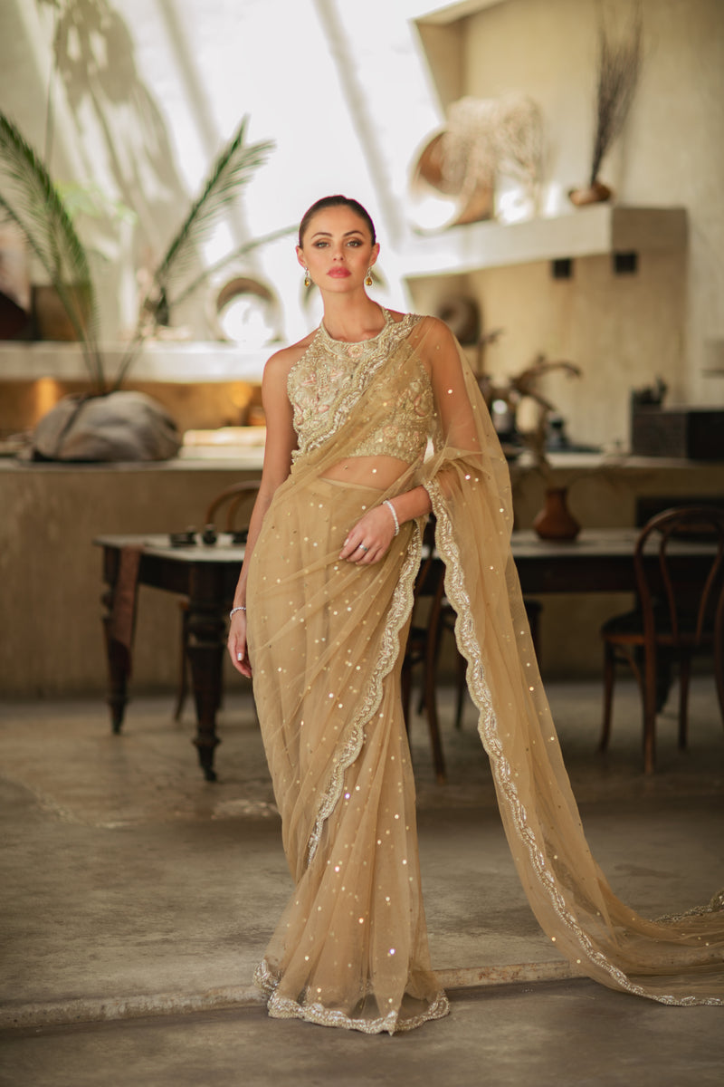 Gold Charm Sari
