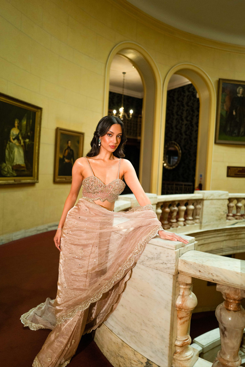 Bare Rose Sari